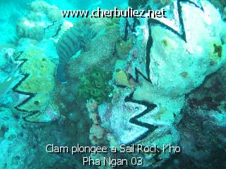 légende: Clam plongee a Sail Rock Kho Pha Ngan 03
qualityCode=raw
sizeCode=half

Données de l'image originale:
Taille originale: 112368 bytes
